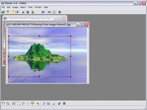 Download WildBit Viewer 6.11